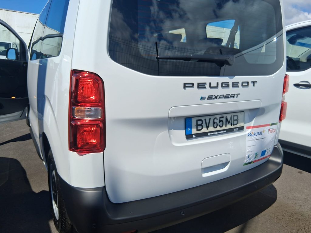 Ficha Projeto PRORURAL + – 7.4.1. – FEADER – 004099 – Aquisição de viatura elétrica de 9 lugares para apoio a respostas sociais